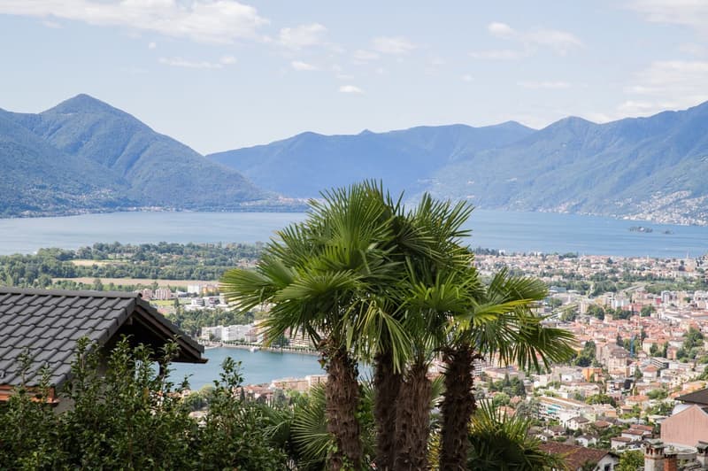 The image shows a scenic view of a lakeside town surrounded by mountains. In the foreground, there are several palm trees with large, green fronds. The town below is nestled along the shore of a large lake or body of water, with buildings and structures v