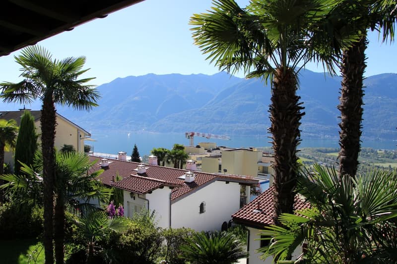 Reihen-Villetta an toller Panoramalage in Locarno Monti (3)
