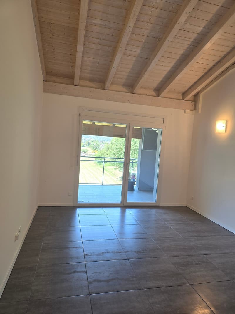 Accogliente appartamento di 2.5 locali con balcone a Lumino (2)