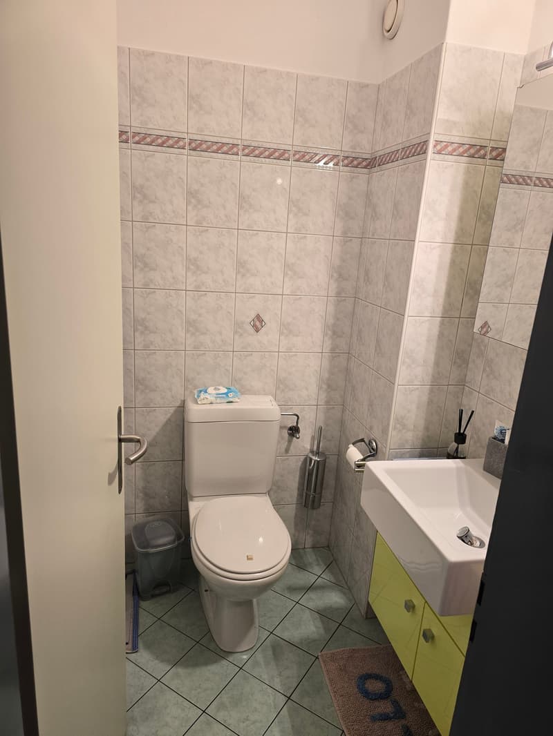 small bathroom with toilet, sink, and mirror