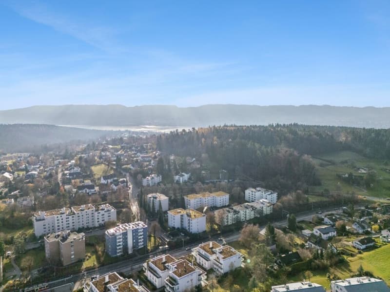 Reserviert  Grosszügige 3.5-Zimmer-Attikawohnung in Zumikon! (7)