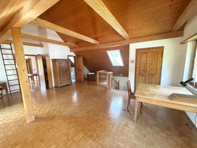 Ihr Traumhaus in ruhiger Lage - grosszügig und voller Lebensqualität (7)