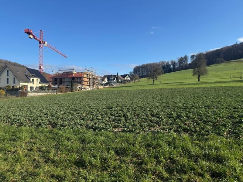Steuergünstig Wohnen in Weiach: 4.5-Zimmer-Neubauwohnung (2)