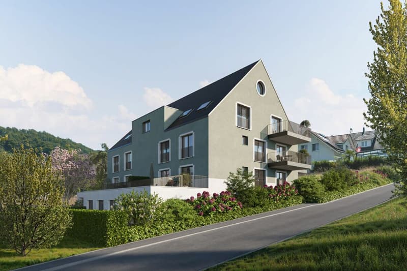 Attraktive 4.5-Zimmer-Neubauwohnung in steuergünstiger Wohnlage (8)