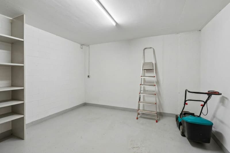 Grosszügige 4.5-Zimmer-Gartenwohnung in zentrumsnähe in Höngg (15)