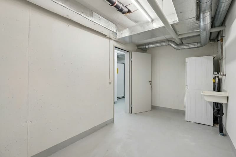 Grosszügige 4.5-Zimmer-Gartenwohnung in zentrumsnähe in Höngg (14)