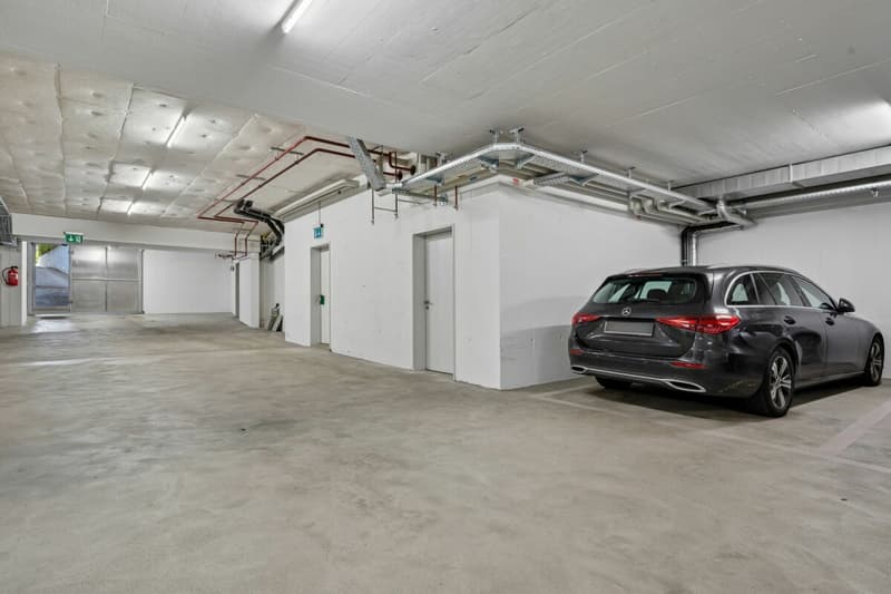 Grosszügige 4.5-Zimmer-Gartenwohnung in zentrumsnähe in Höngg (13)