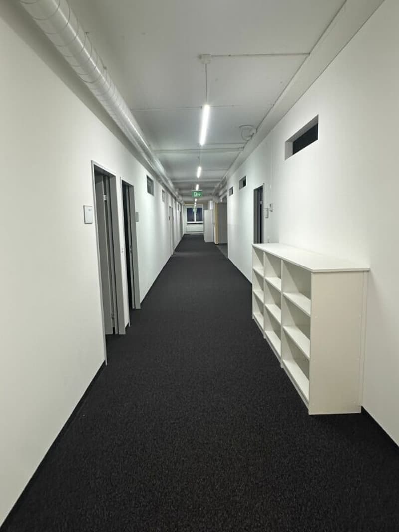 Grosszügige Büro-/Gewerberäumen in Zürich Altstetten (9)