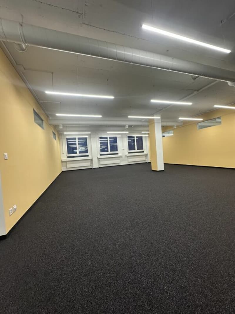 Grosszügige Büro-/Gewerberäumen in Zürich Altstetten (5)