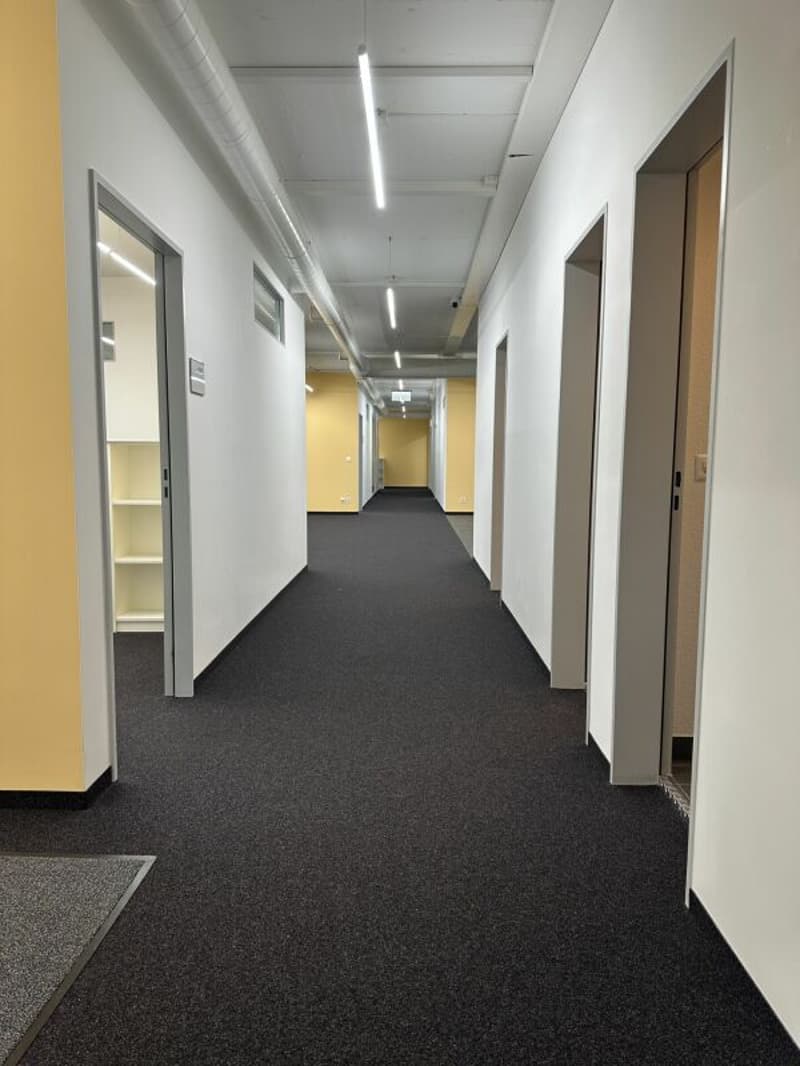 Grosszügige Büro-/Gewerberäumen in Zürich Altstetten (4)