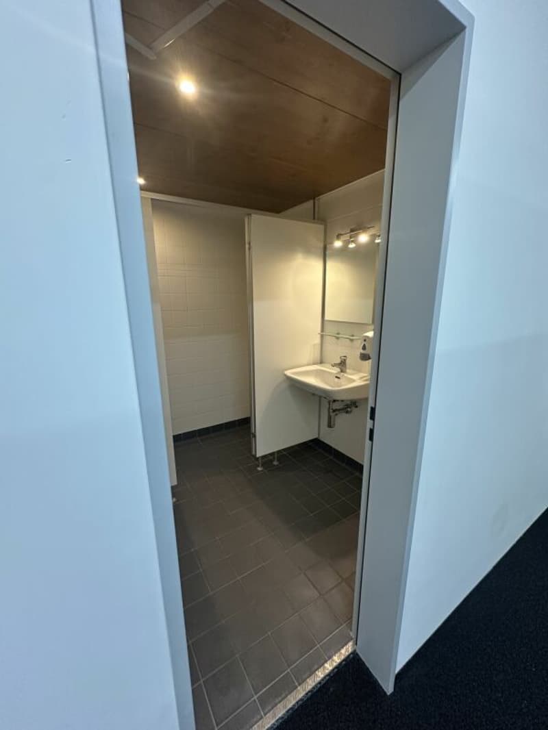 Grosszügige Büro-/Gewerberäumen in Zürich Altstetten (14)