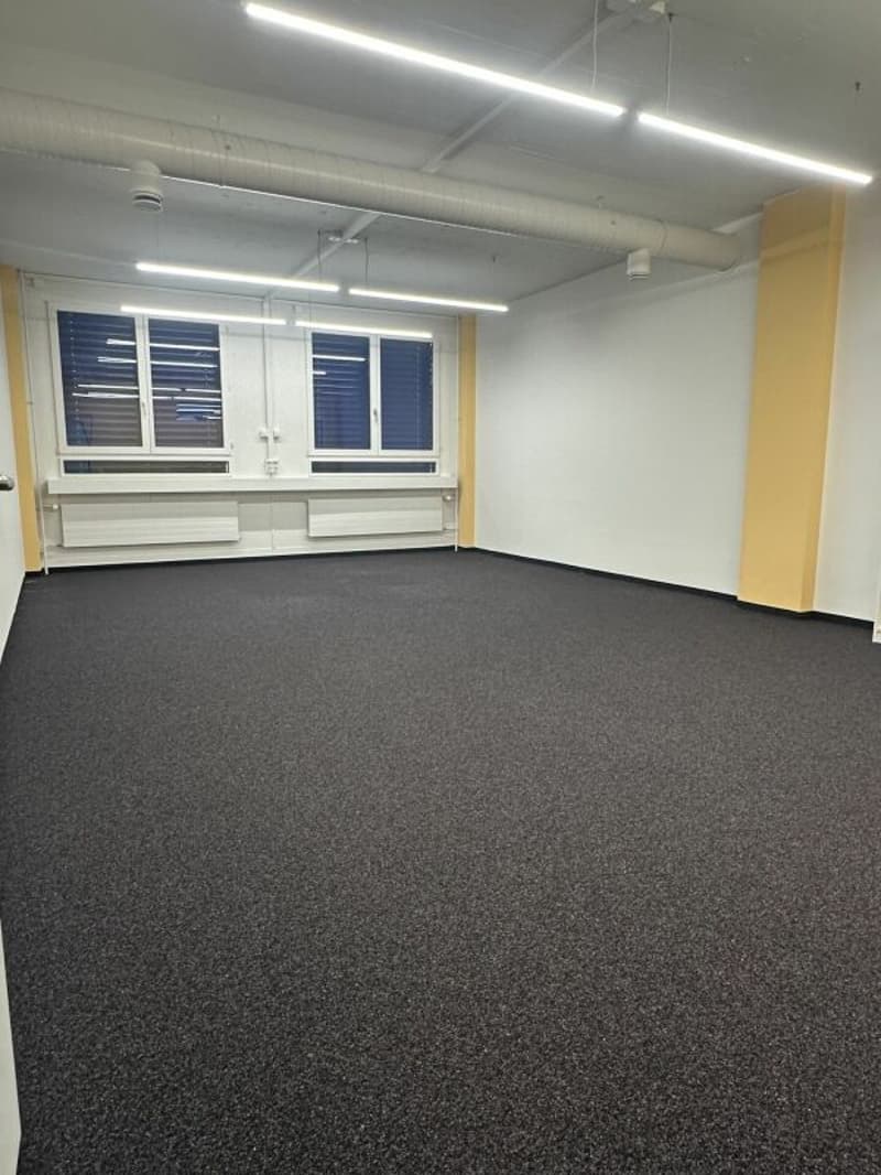 Grosszügige Büro-/Gewerberäumen in Zürich Altstetten (7)