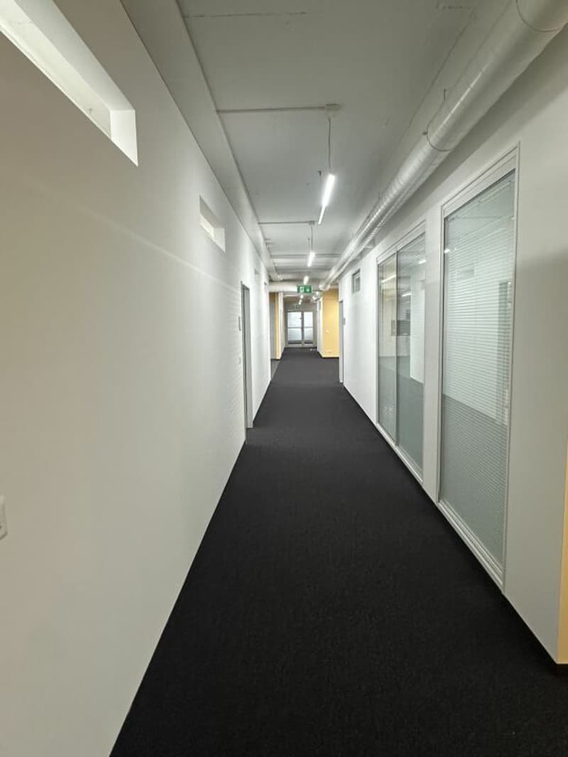 Grosszügige Büro-/Gewerberäumen in Zürich Altstetten (10)