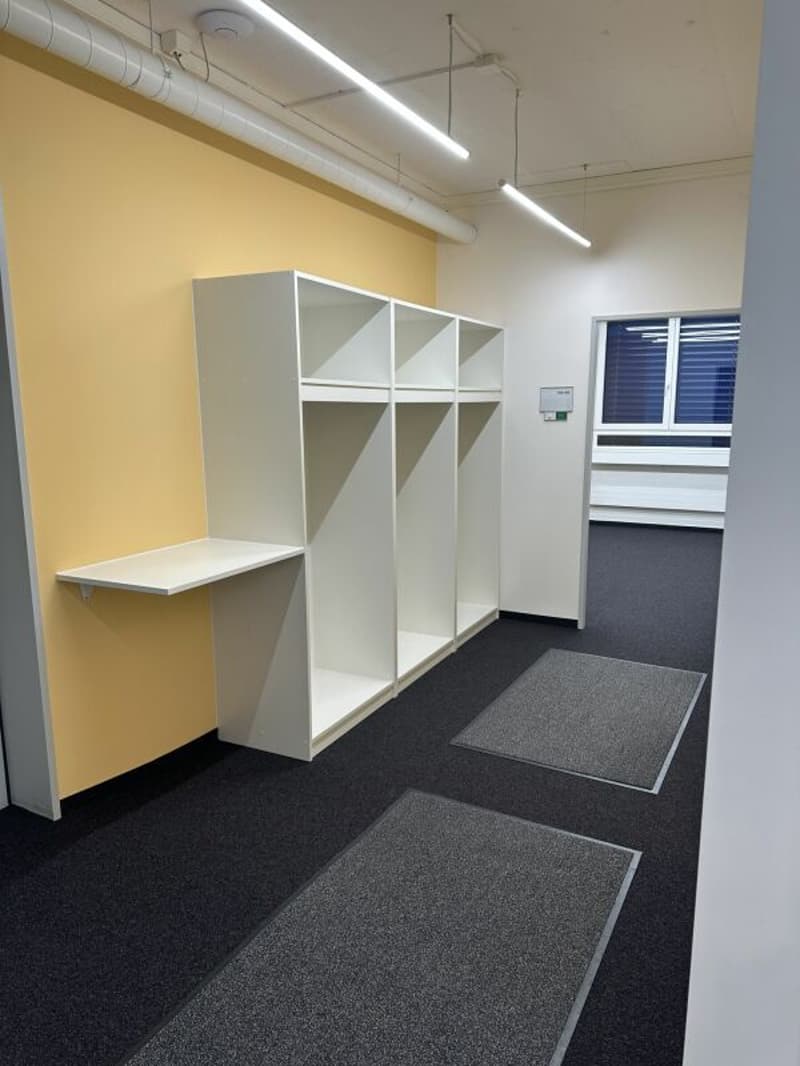 Grosszügige Büro-/Gewerberäumen in Zürich Altstetten (3)