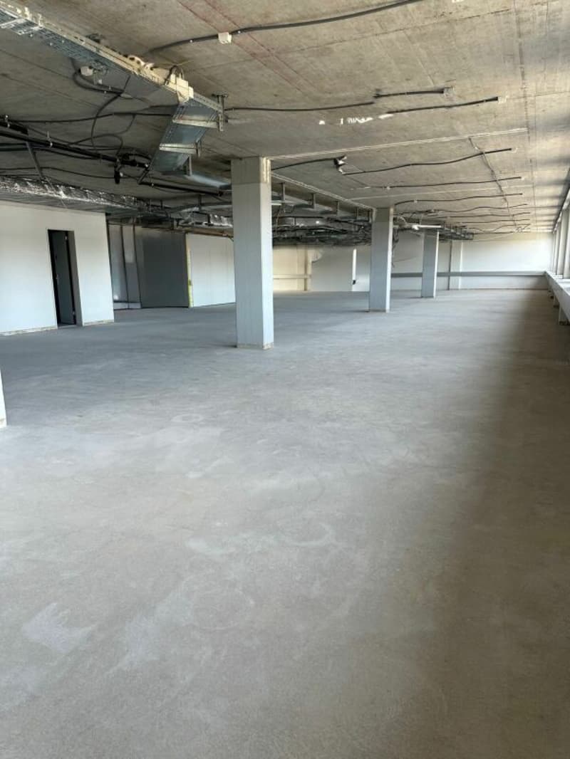 Gewerberaum an gut erschlossener Lage (2)