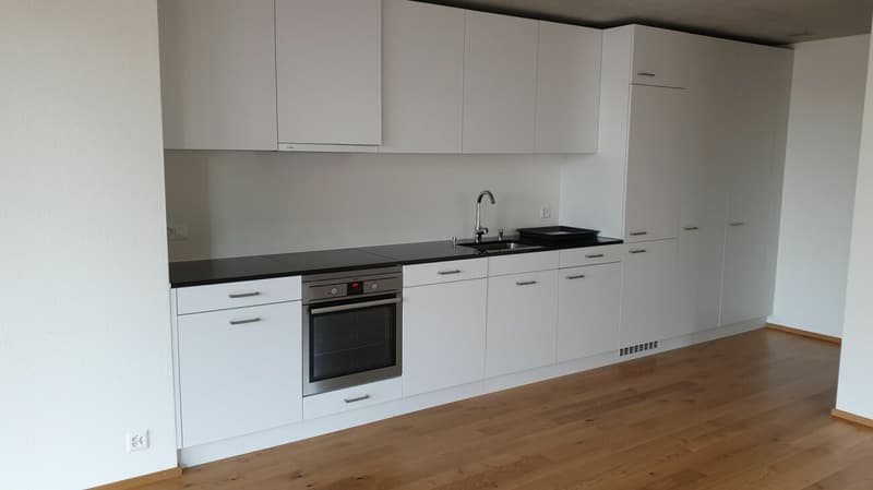 Moderne 1.5-Zimmerwohnung (2)