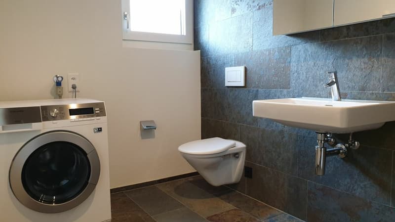 Moderne 1.5-Zimmerwohnung (4)