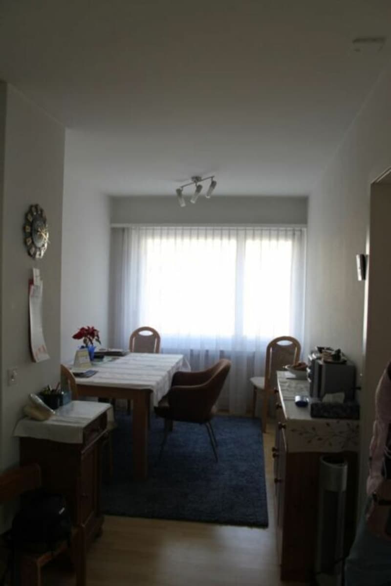 3,5 Zimmer Wohnung am Stadtrand und doch zentral (6)