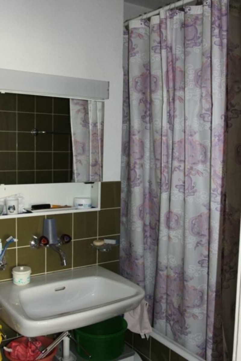 3,5 Zimmer Wohnung am Stadtrand und doch zentral (4)