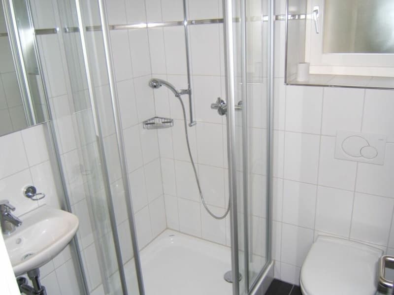 Grosszügige Attika-Wohnung zu vermieten (9)