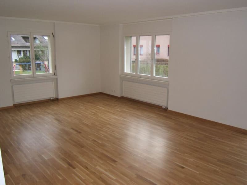 Grosszügige Attika-Wohnung zu vermieten (3)