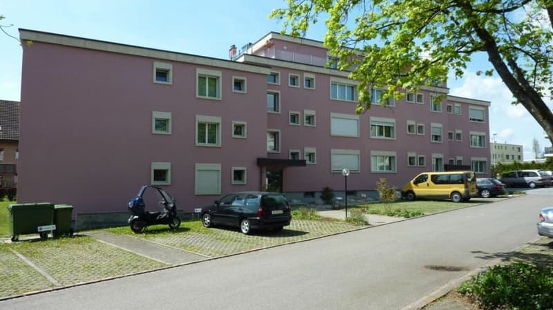 Grosszügige Attika-Wohnung zu vermieten (1)