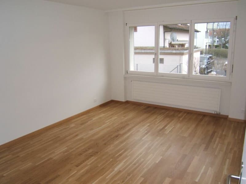 Grosszügige Attika-Wohnung zu vermieten (5)