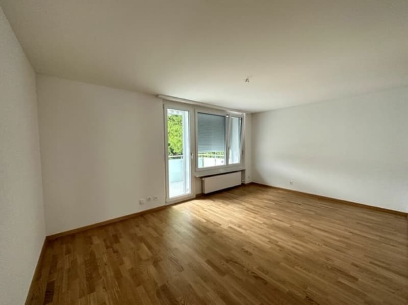 Schöne helle 4,5 Zimmer Wohnung (2)