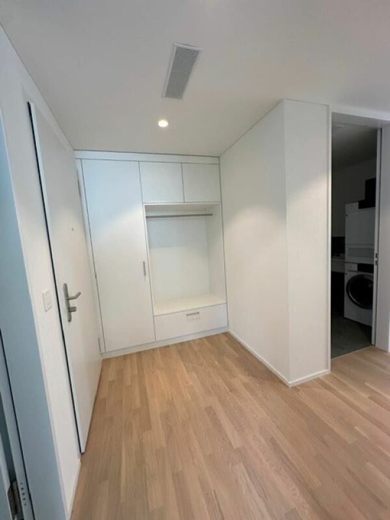 Neubau 3.5-Zimmerwohnung an zentraler Lage in Hedingen zu vermieten (6)