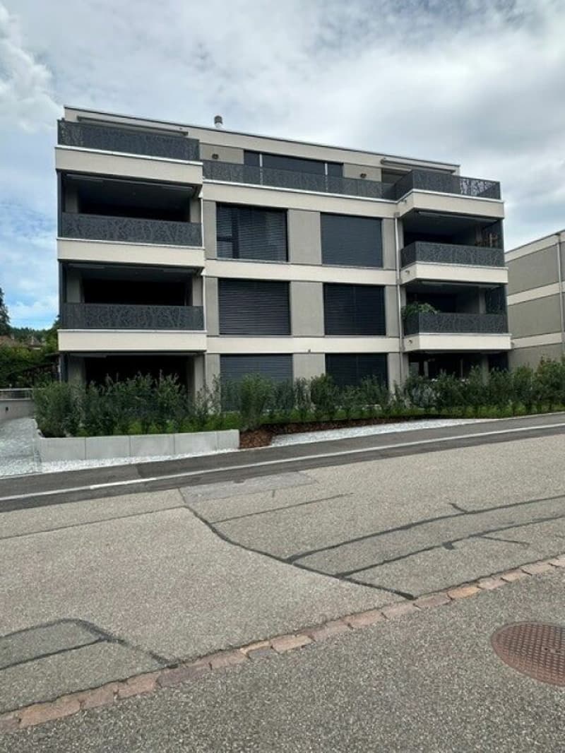 Neubau 3.5-Zimmerwohnung an zentraler Lage in Hedingen zu vermieten (1)
