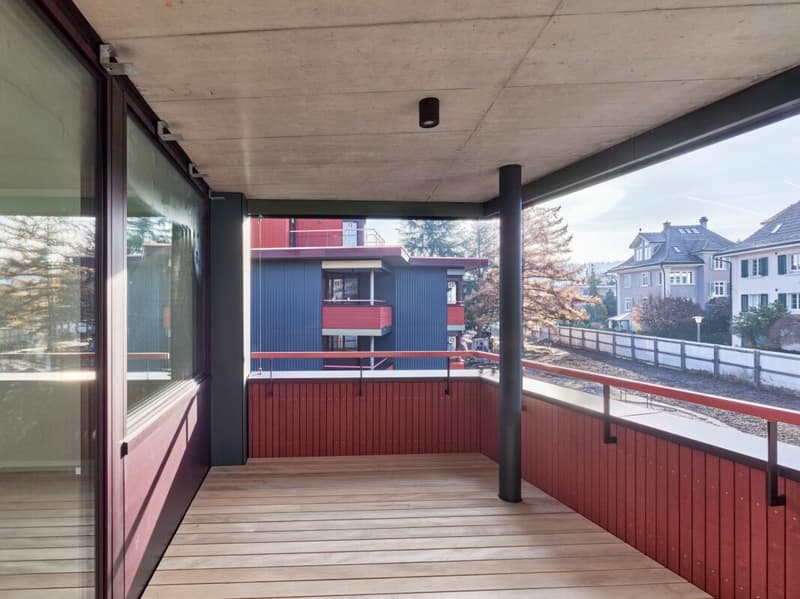3.5 (+) -Zimmer-Neubau-Wohnung in Dietikon (6)