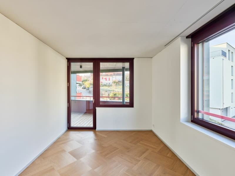 3.5 (+) -Zimmer-Neubau-Wohnung in Dietikon (13)