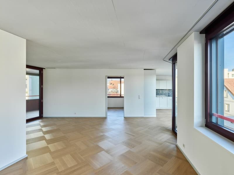 3.5 (+) -Zimmer-Neubau-Wohnung in Dietikon (8)