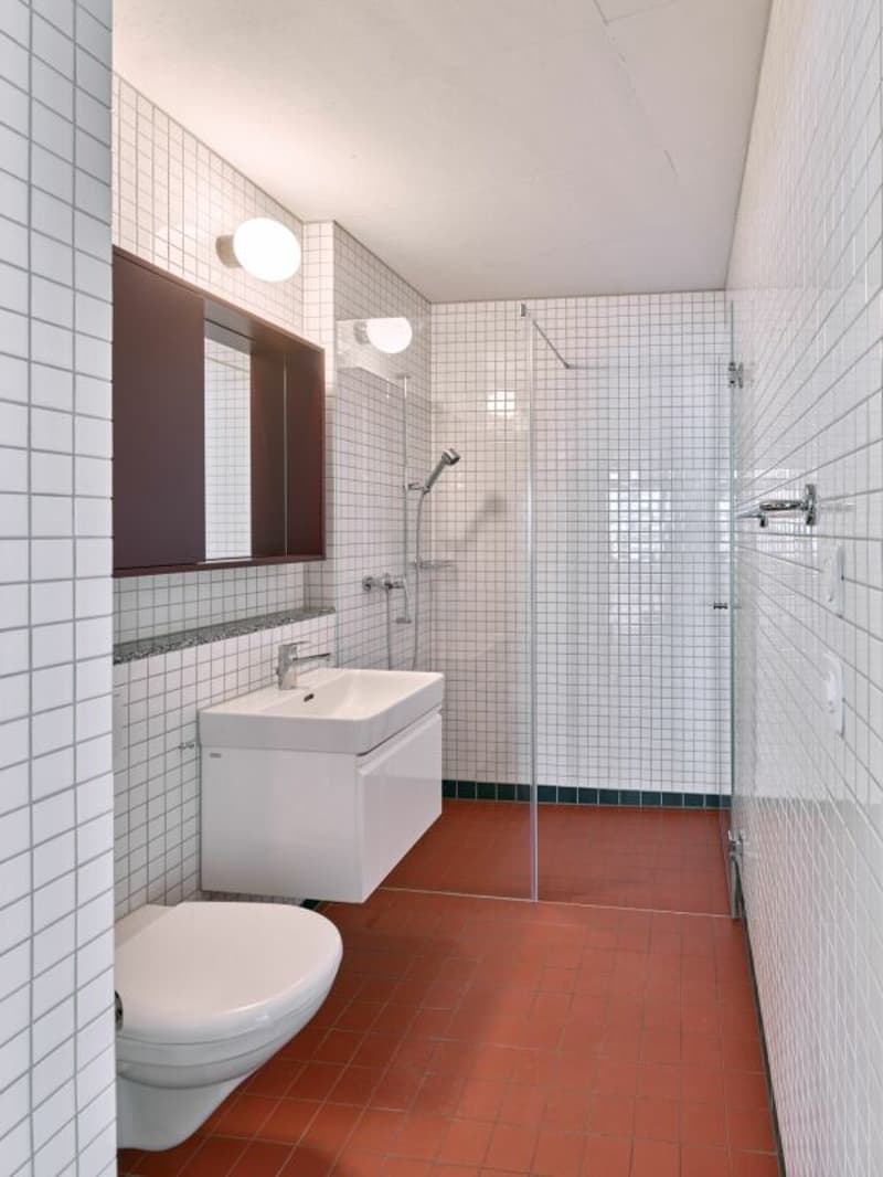 3.5 (+) -Zimmer-Neubau-Wohnung in Dietikon (10)