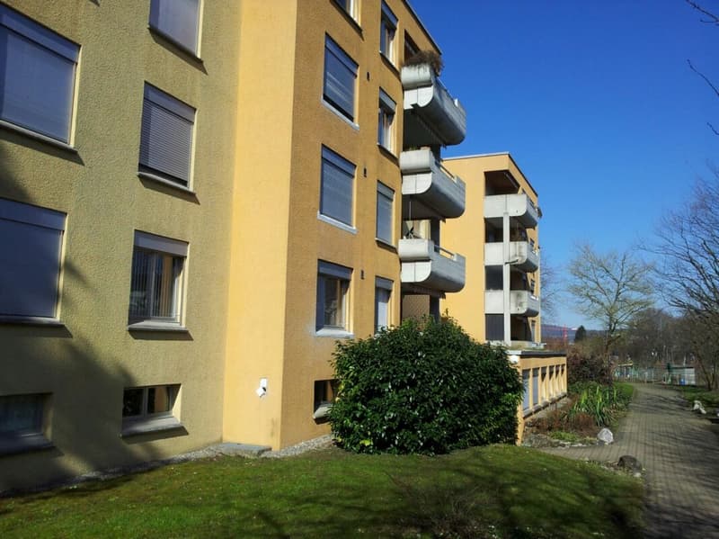 Frisch renovierte 4.5-Zimmer-Wohnung in Albisrieden (8)