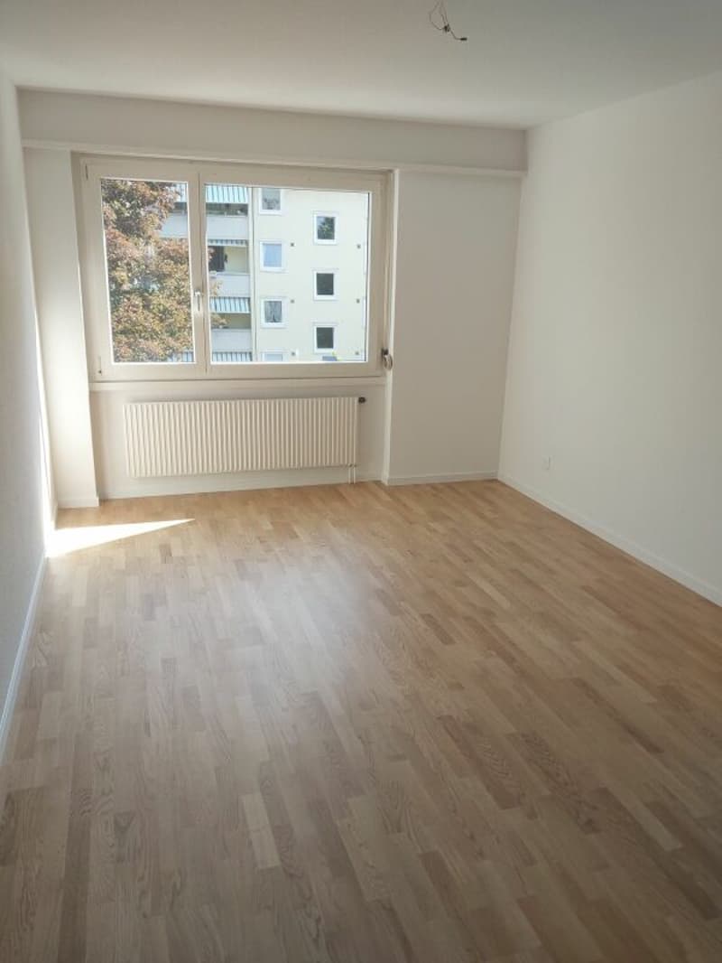 Charmante 4.5 Zimmer-Wohnung im Dietikon (5)