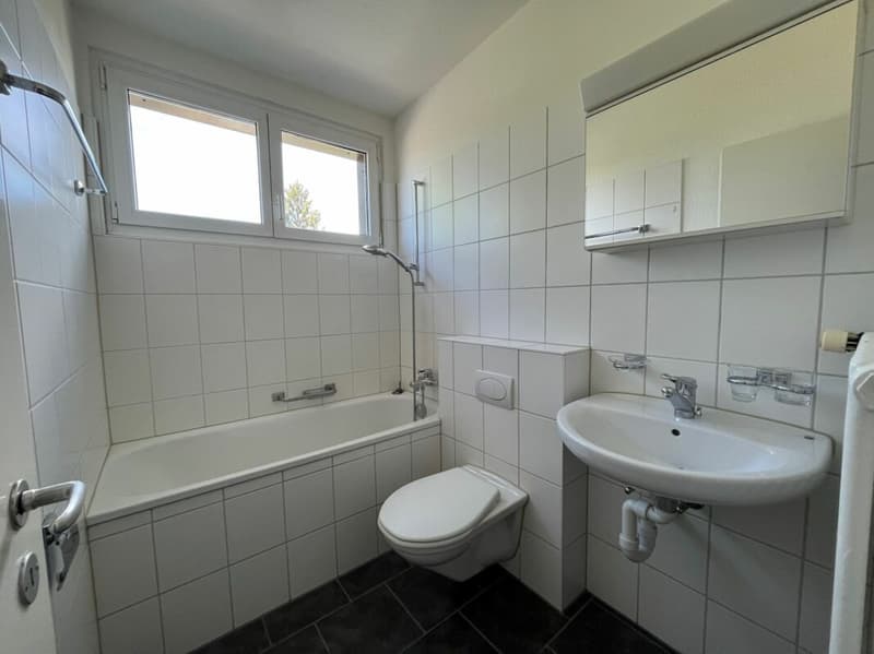 Charmante 1-5 Zimmer-Wohnung in Dübendorf (5)