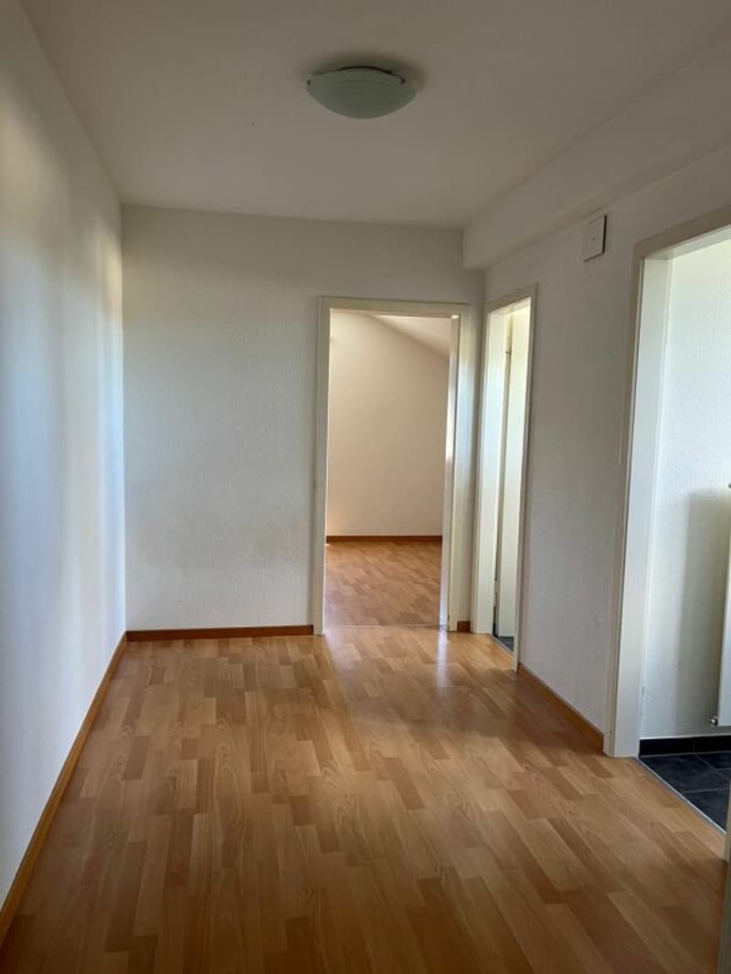 Charmante 1-5 Zimmer-Wohnung in Dübendorf (3)