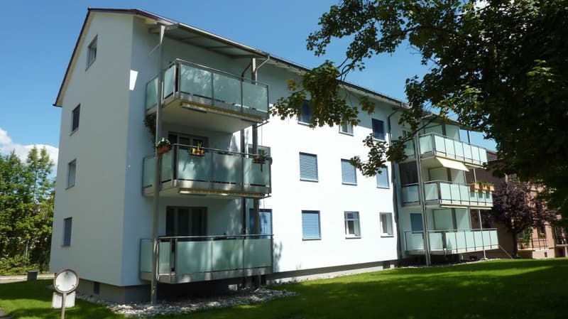 Charmante 1-5 Zimmer-Wohnung in Dübendorf (6)