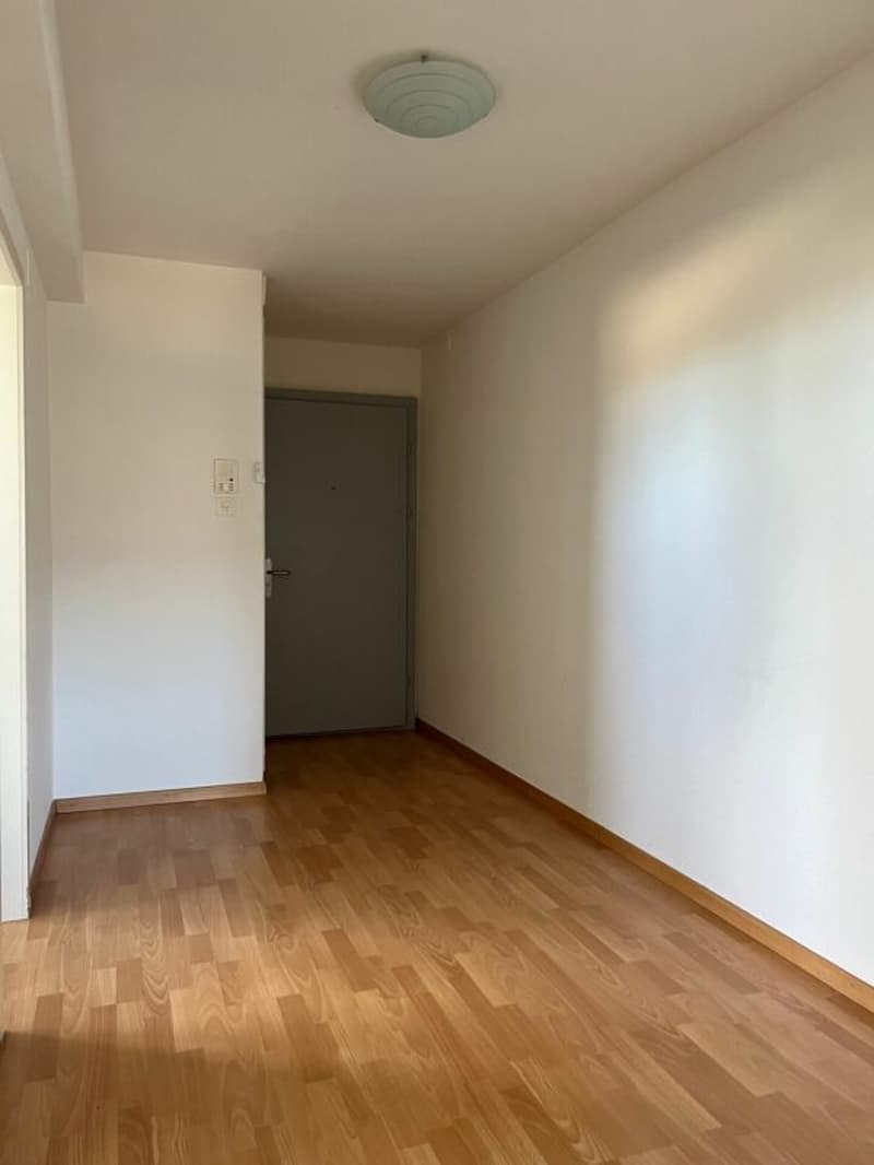 Charmante 1-5 Zimmer-Wohnung in Dübendorf (4)