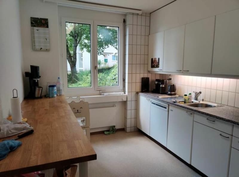 Grosszügige Wohnung an ruhiger Lage im Grünen (4)