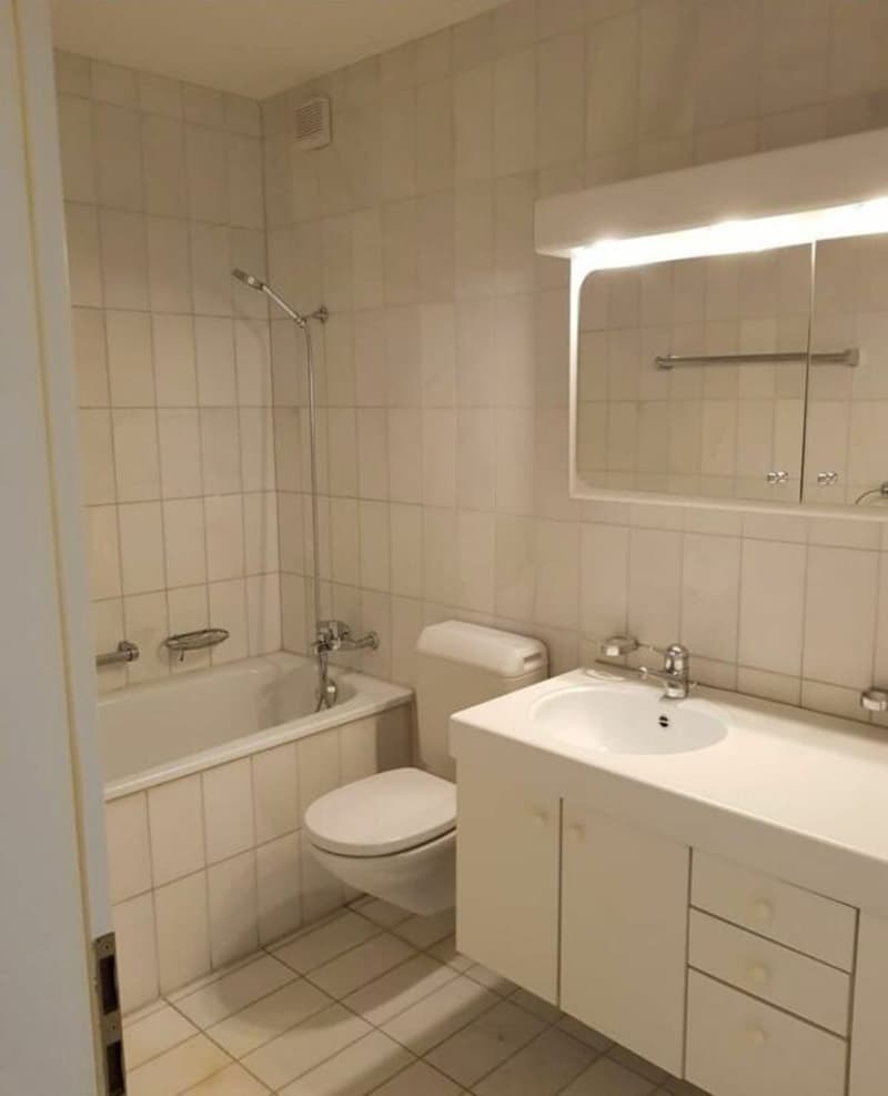 Grosszügige Wohnung an ruhiger Lage im Grünen (6)
