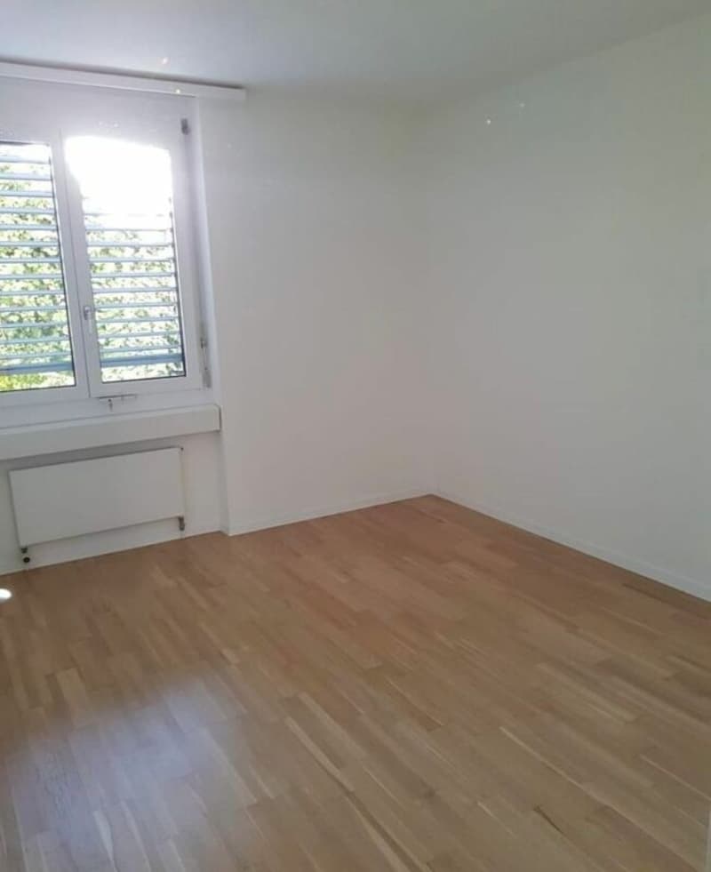 Grosszügige Wohnung an ruhiger Lage im Grünen (5)