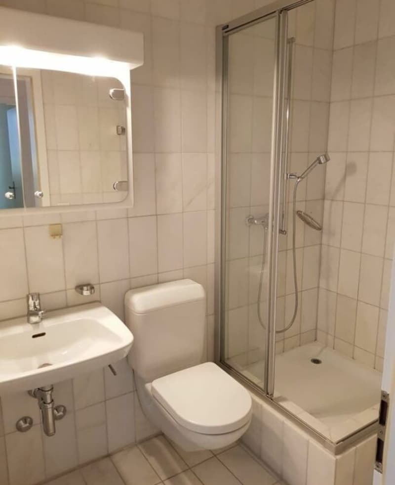 Grosszügige Wohnung an ruhiger Lage im Grünen (7)