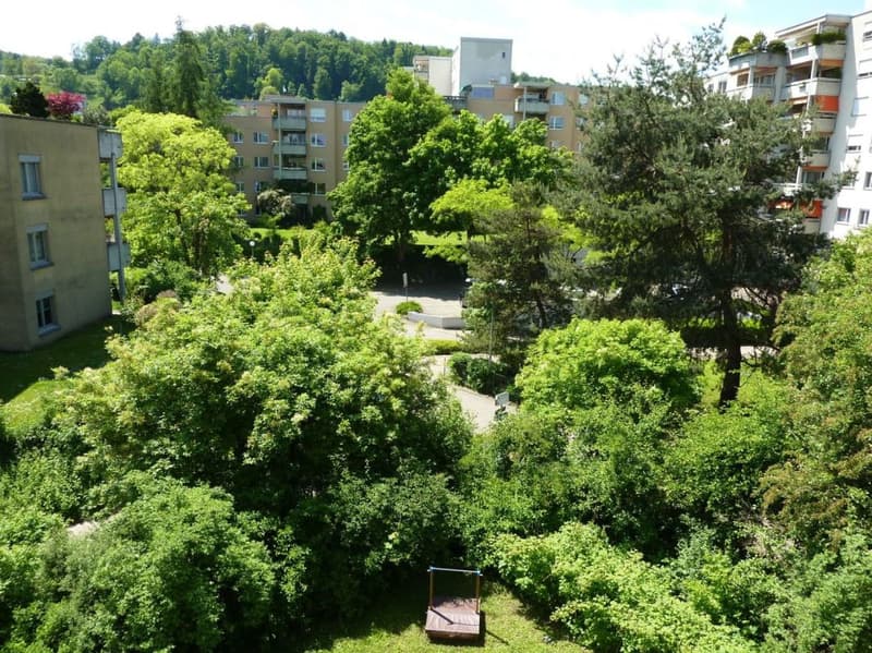 Zentral gelegene 3.5-Zimmer-Wohnung in Albisrieden mit eigenem Gartensitzplatz (10)