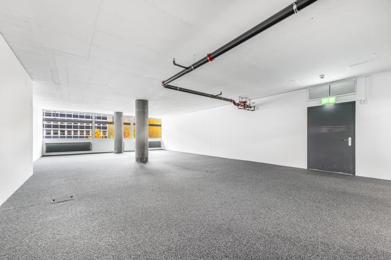 Moderner Gewerberaum für produzierendes Gewerbe in Zürich Binz (2)