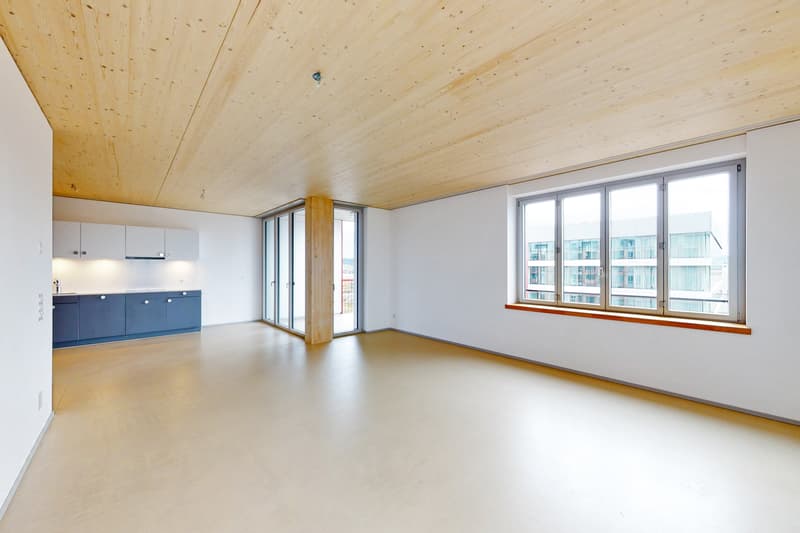 Moderne Wohnung in Winterthur (2)