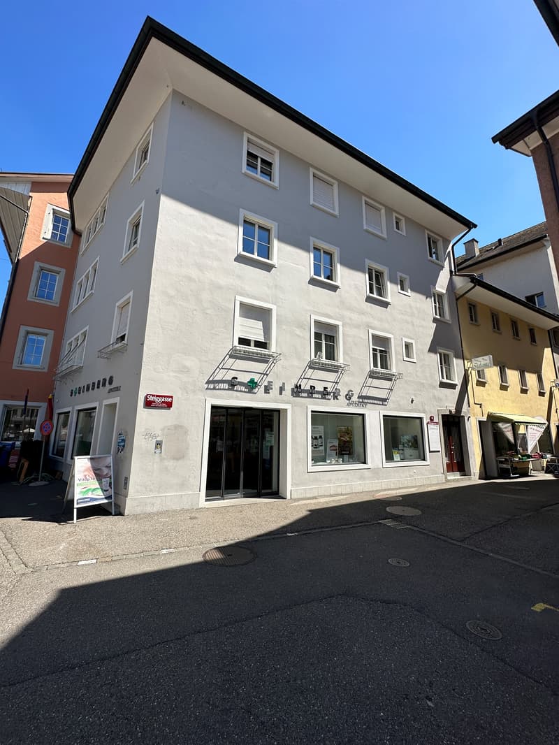 Neu sanierte Wohnung in der Altstadt von Winterthur (1)