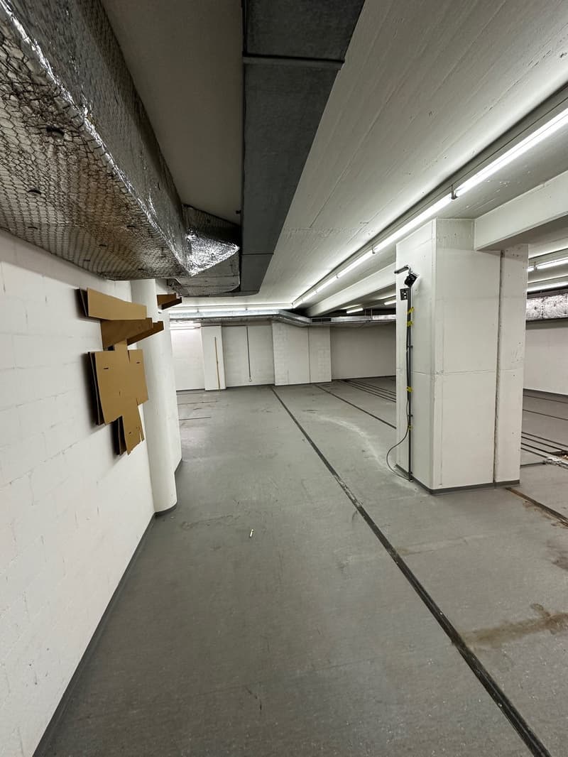 Espace de stockage à louer au 2e sous-sol près de Schaffhauserplatz (4)