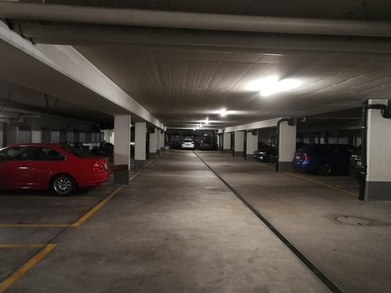 Cherchez-vous un toit au-dessus de votre voiture ? (3)